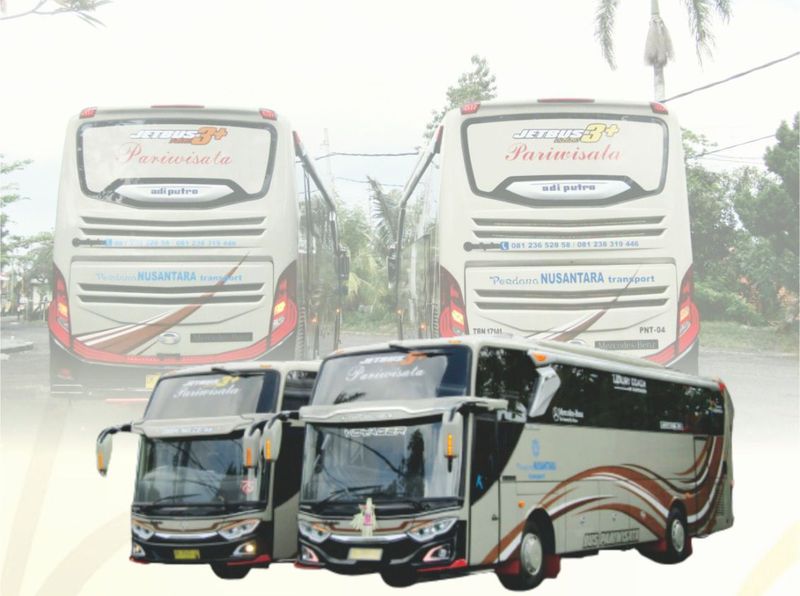 Petualangan Tanpa Batas: Panduan Lengkap Sewa Bus Pariwisata Overland