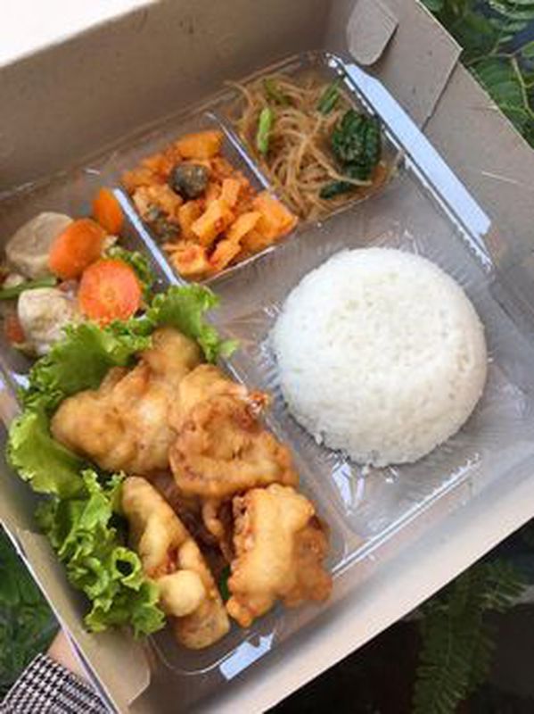 Paket Nasi Box Dan Snack Box Varian B3