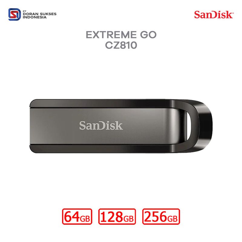 FD Extreme GO CZ810 Sandisk - 256GB
