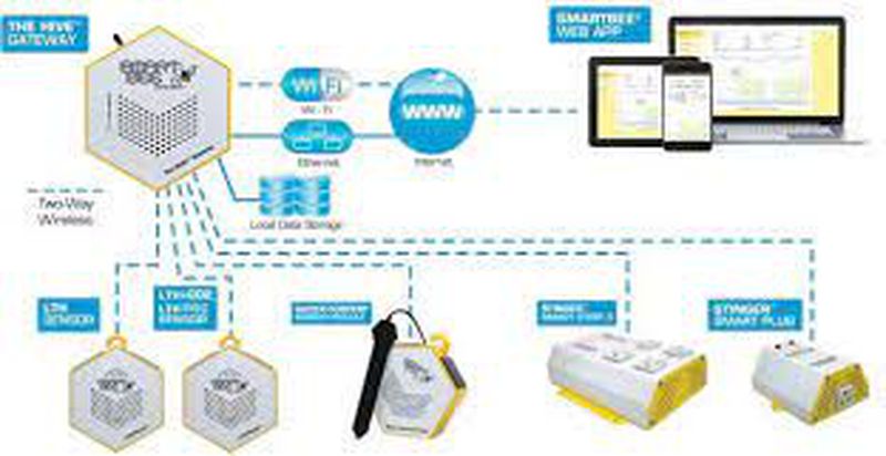 SMARTBEE SMART VISUALIZER ET-22