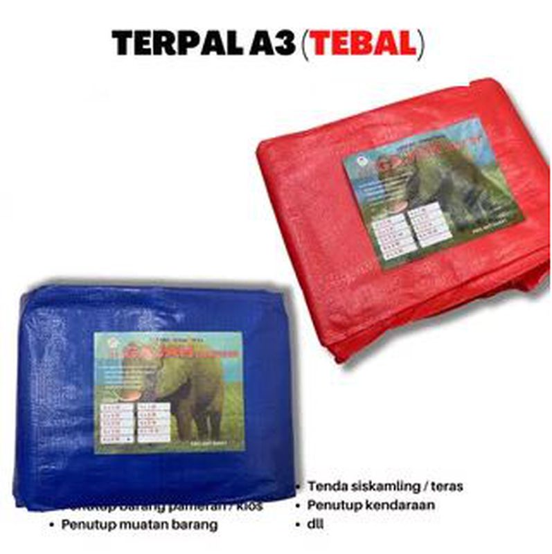 Terpal