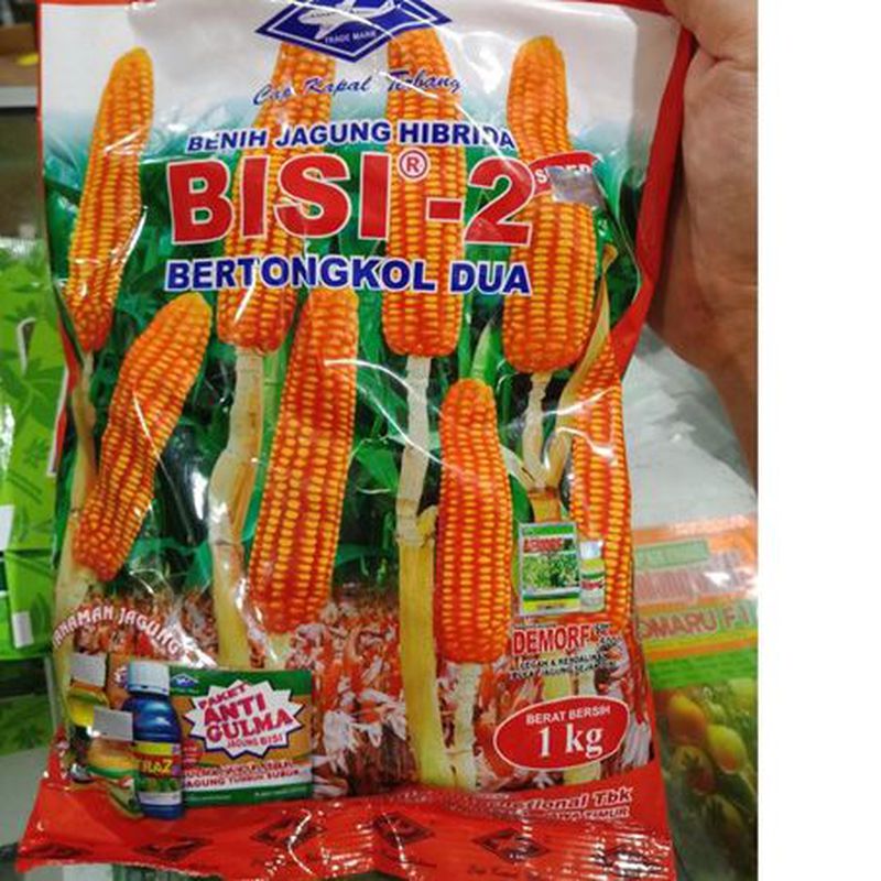 Bibit Jagung Hibrida