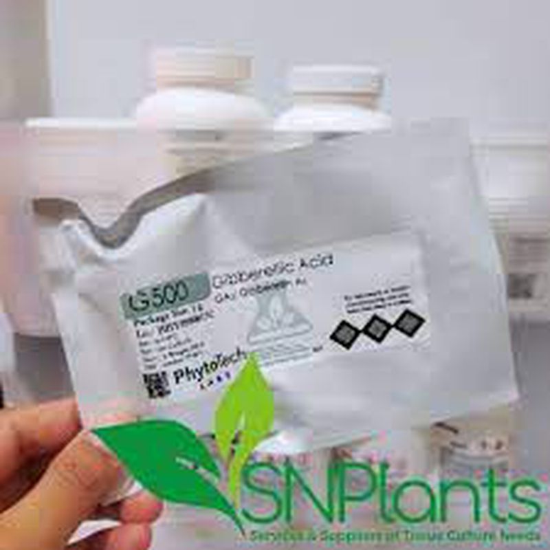 Media Kultur / FeSO4