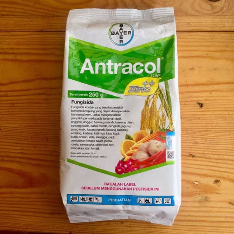 Fungisida ANTRACOL 70 WP 500gram