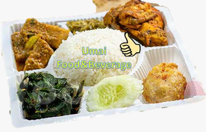 Nasi padang box