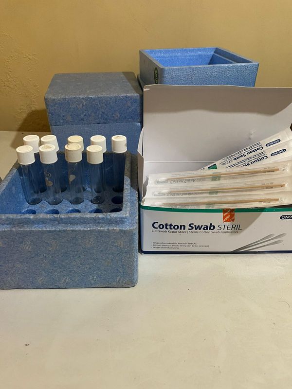 Pemeriksaan Rectal Swab