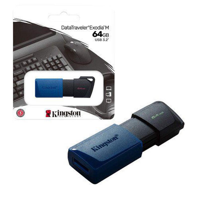 FLASHDISK KINGSTON 64GB