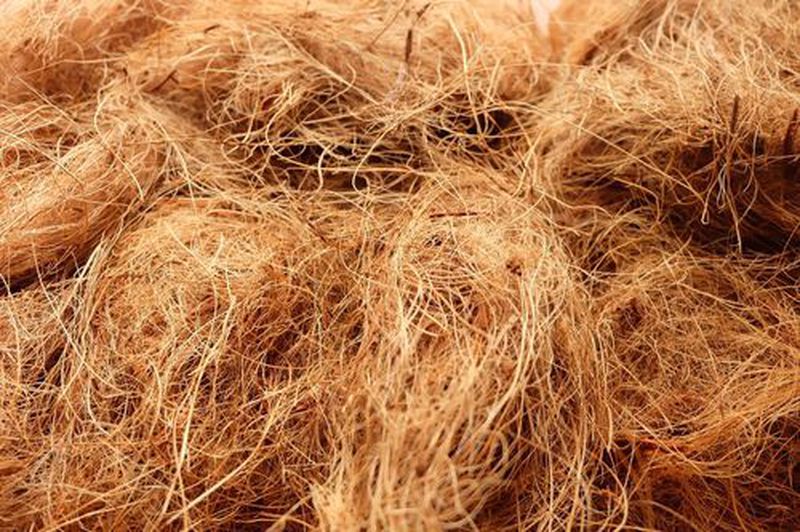 COCOFIBER 1000Gram/Siap Pakai/Serat Sabut Kelapa/Media Tanam
