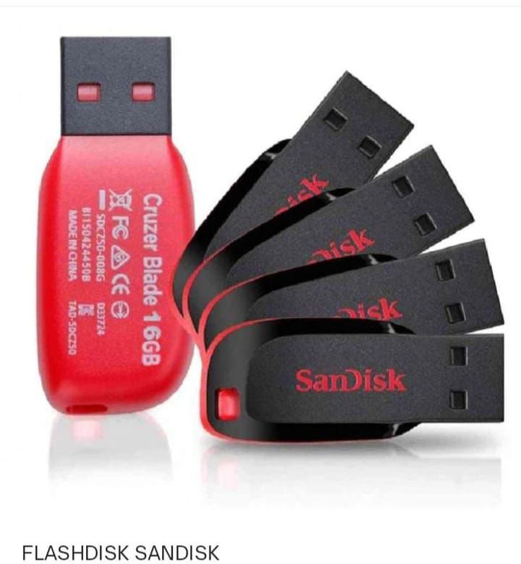 FLASHDISK 4 GB