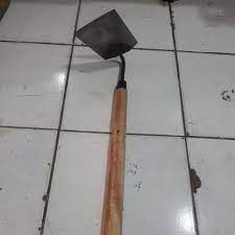 Pacul/Pacul ukuran sedang