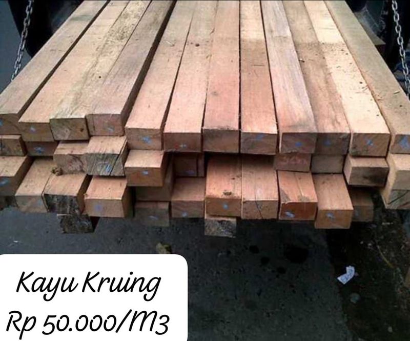 Kayu Kruing