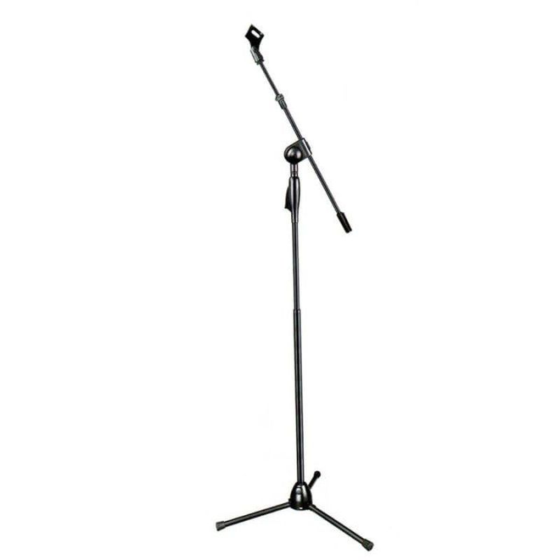 Standing Mic