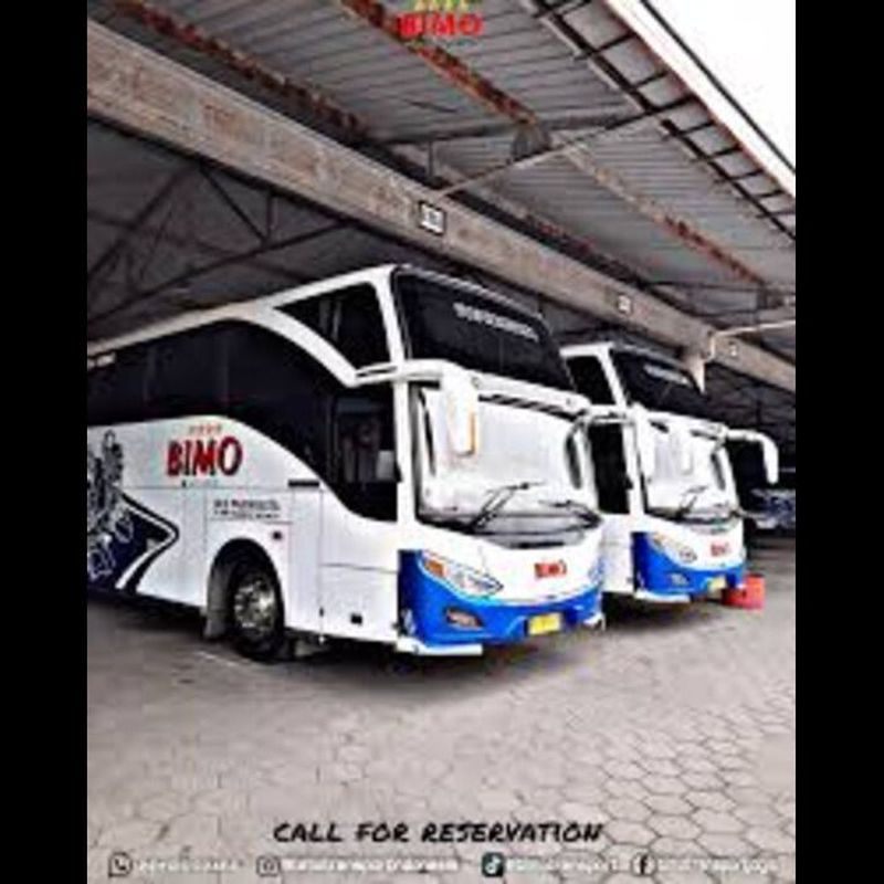 Bus SHD seat 50