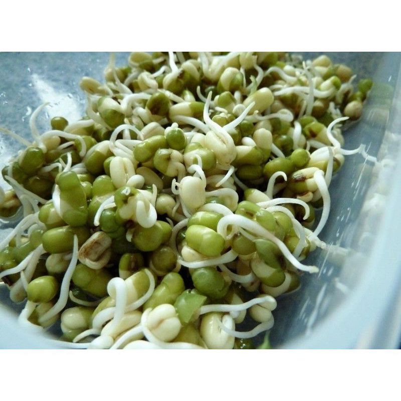 Toge kokol