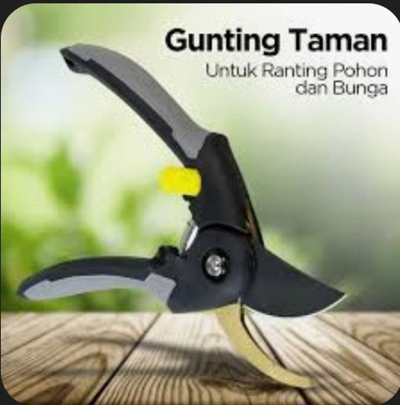 gunting stek