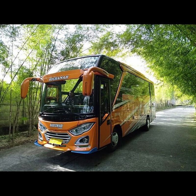 Bus Medium