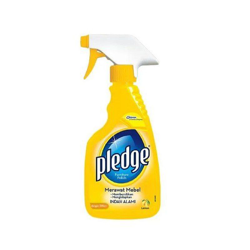 Pledge Pump