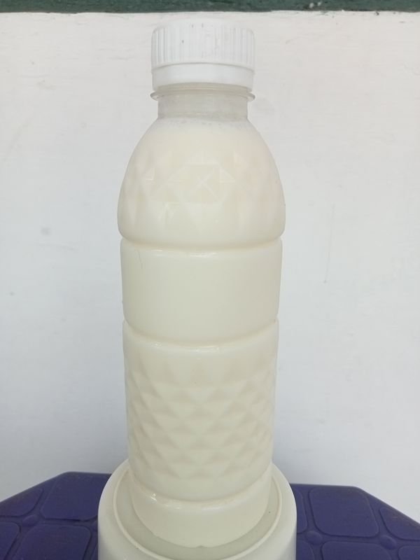 Susu Sapi Rasa Coklat