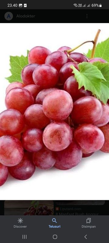 Anggur merah