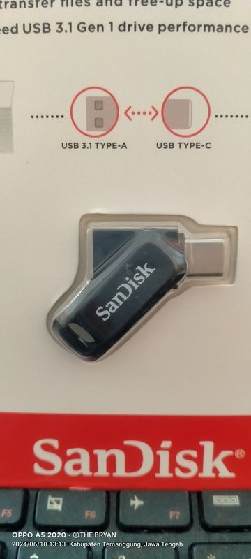 Flash Disk