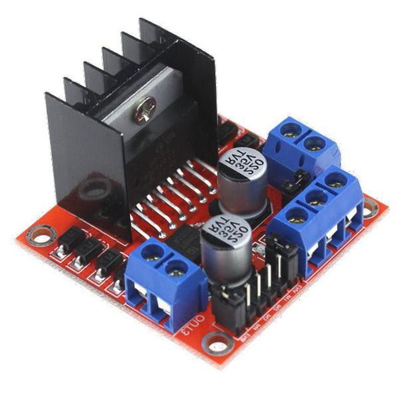 Driver Motor