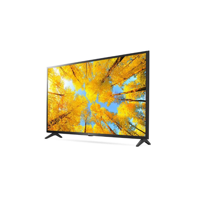 LG Smart TV 43 inch