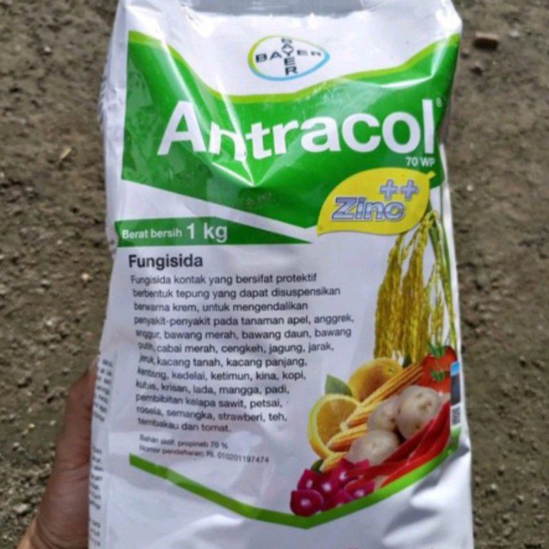 Fungisida Antracol