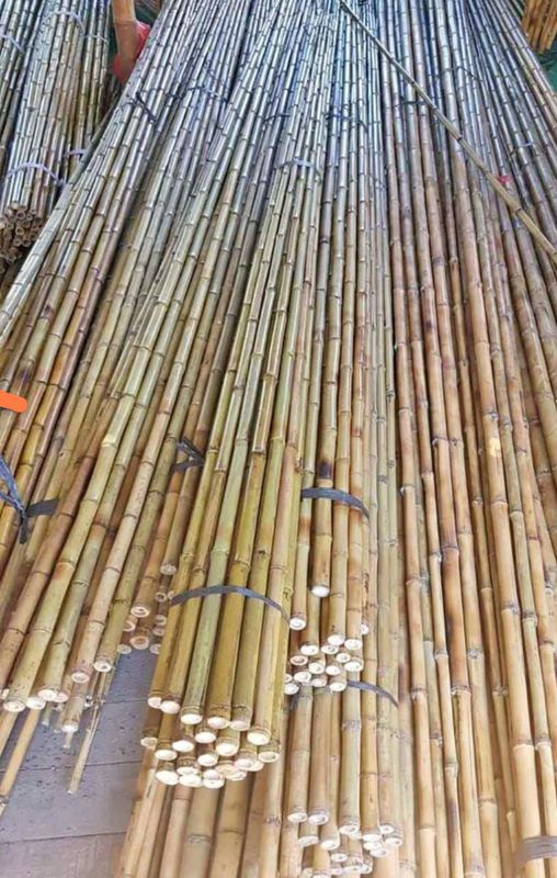 bambu