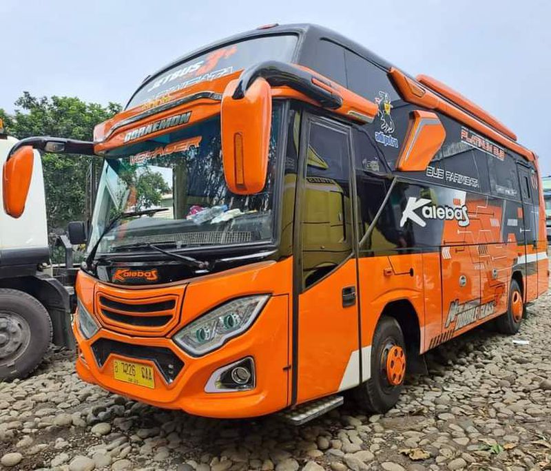 Medium Bus / Medium Long Bus
