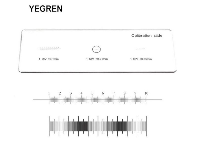 YEGREN Scale Ruler
