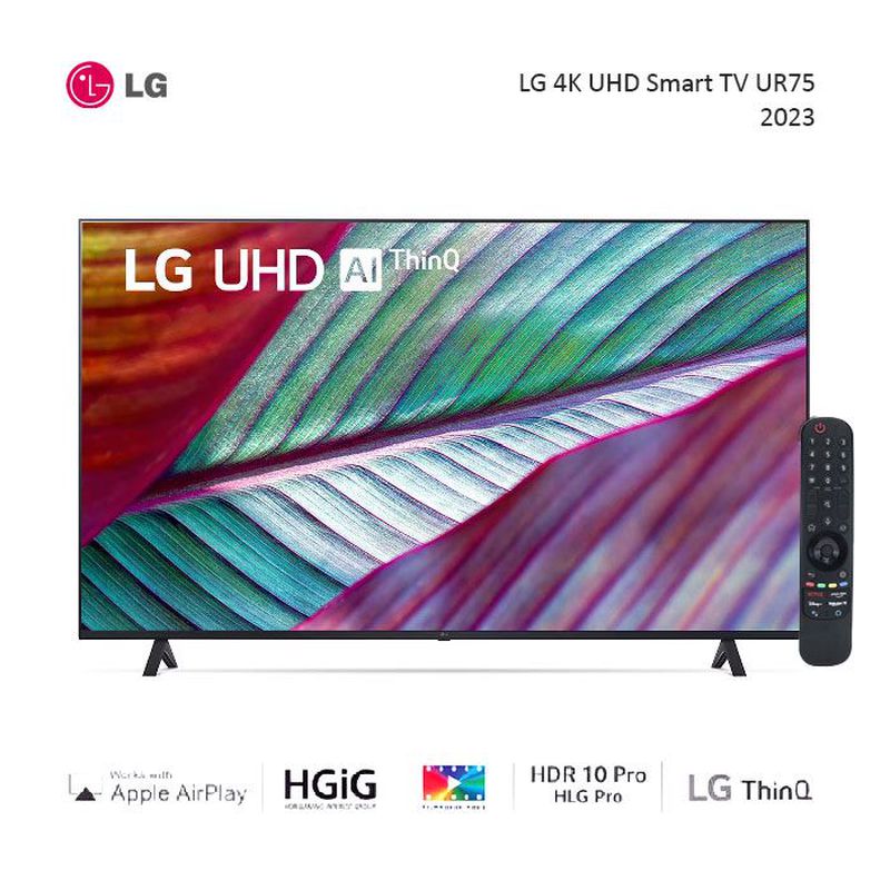 TV 43 INC LG