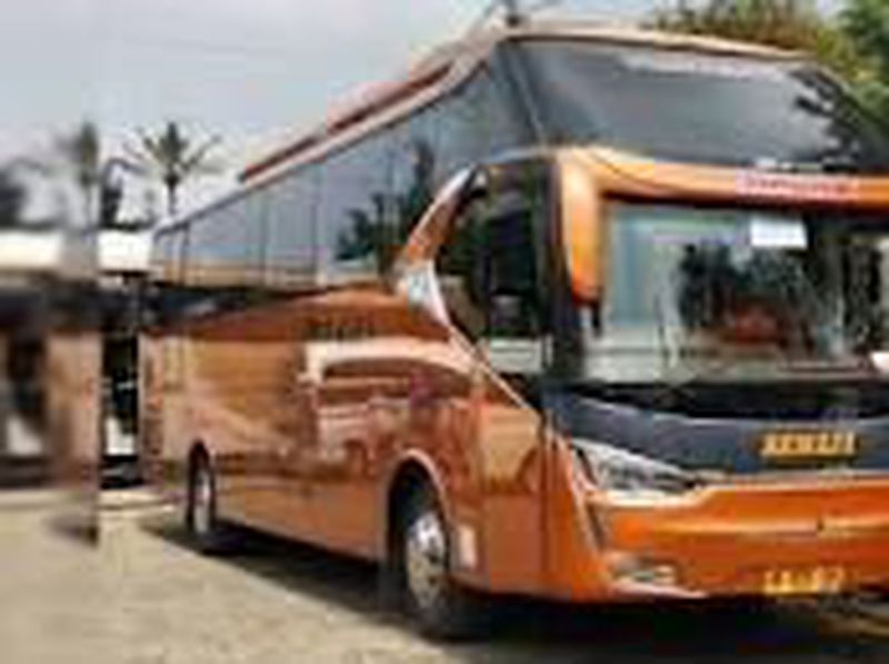 Bis bus