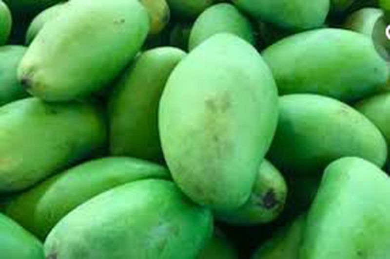 Mangga