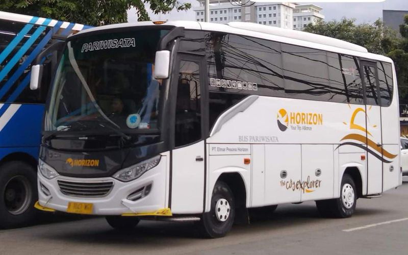 Medium Bus