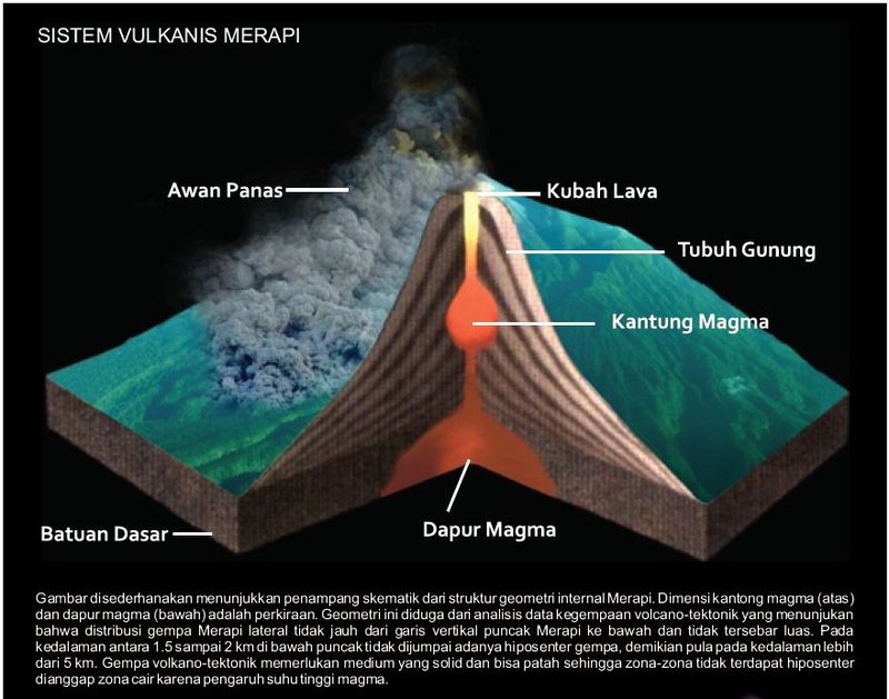 Jasa Pemeliharaan Koleksi