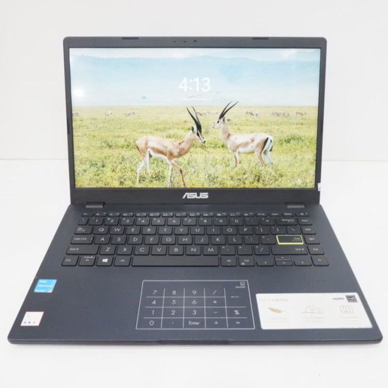 ASUS E410KA