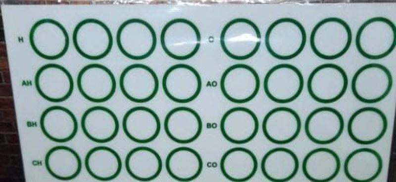 PLAT WIDAL 32 HOLE