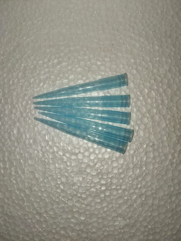 Blue Tip