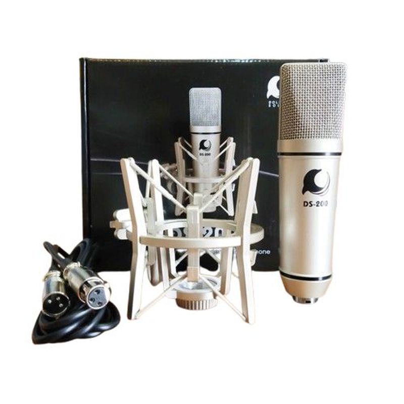 Dolphin Sound DS-200 Mic Condenser