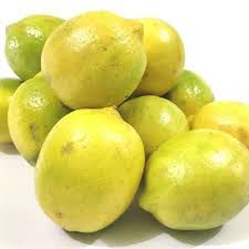 lemon lokal