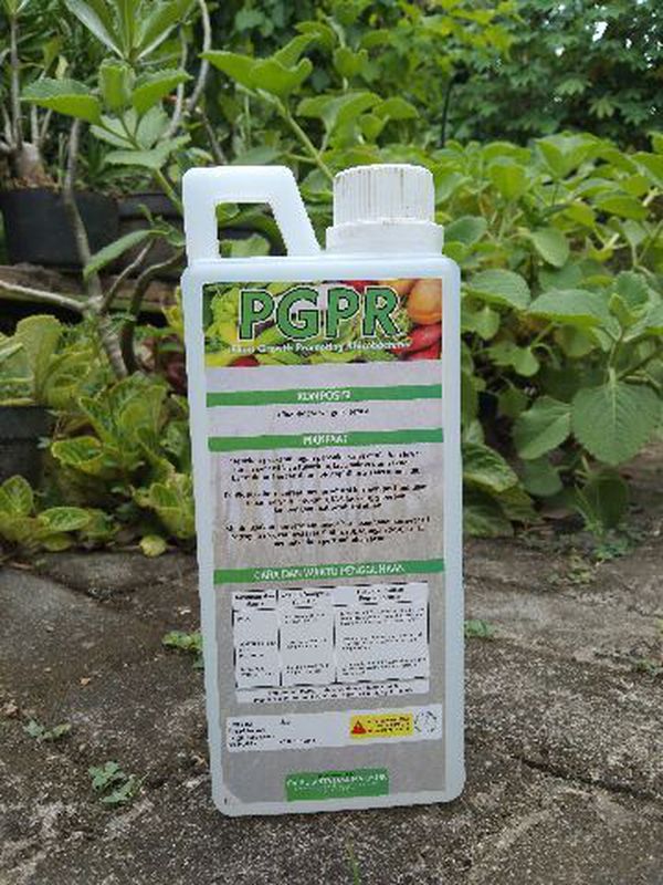 Plant Growth Promoting Rhizobacteria (PGPR