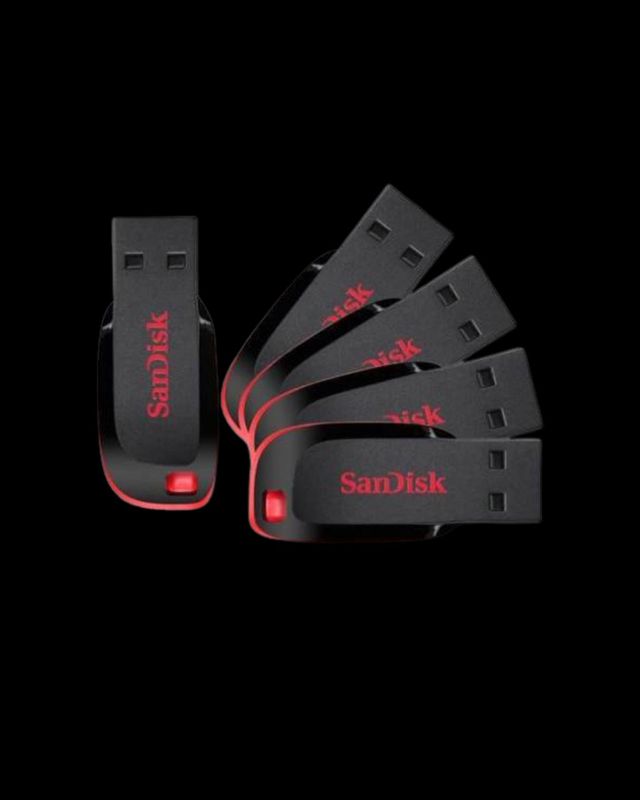 Flash Disk