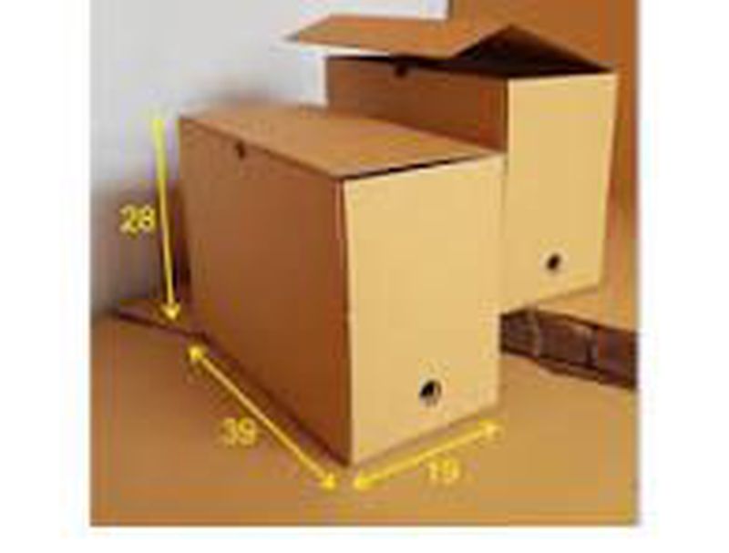 Box Arsip