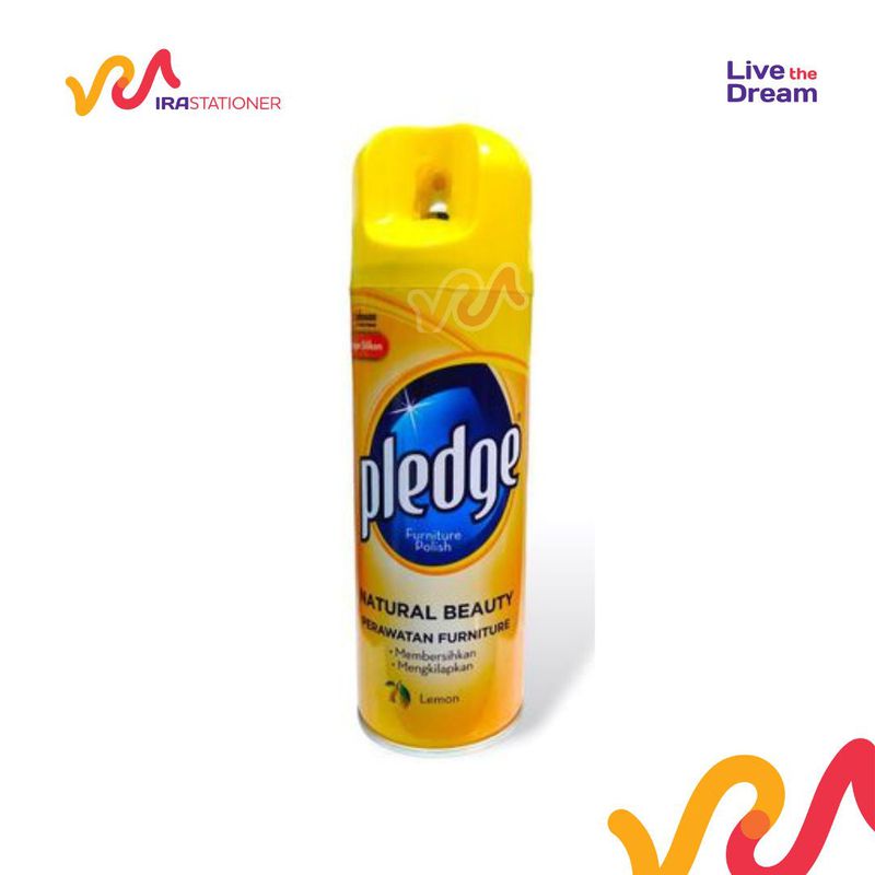 PLEDGE AER ORANGE 160GR