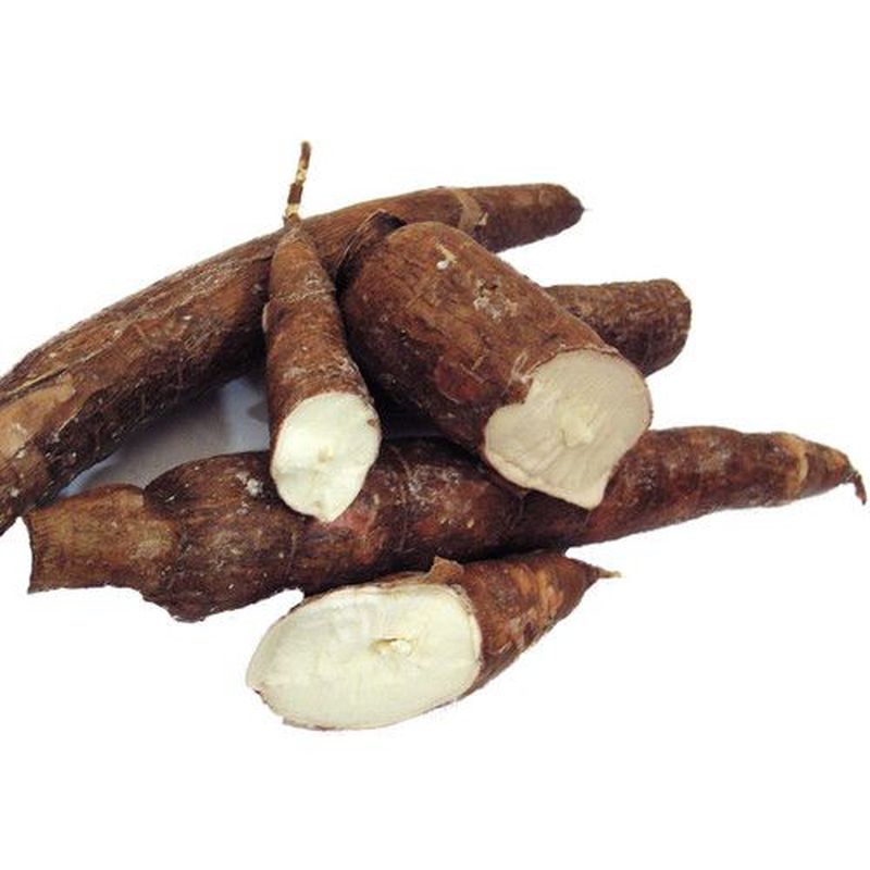 SINGKONG