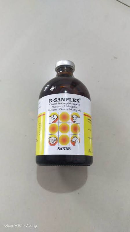 B-SANPLEX 100ml