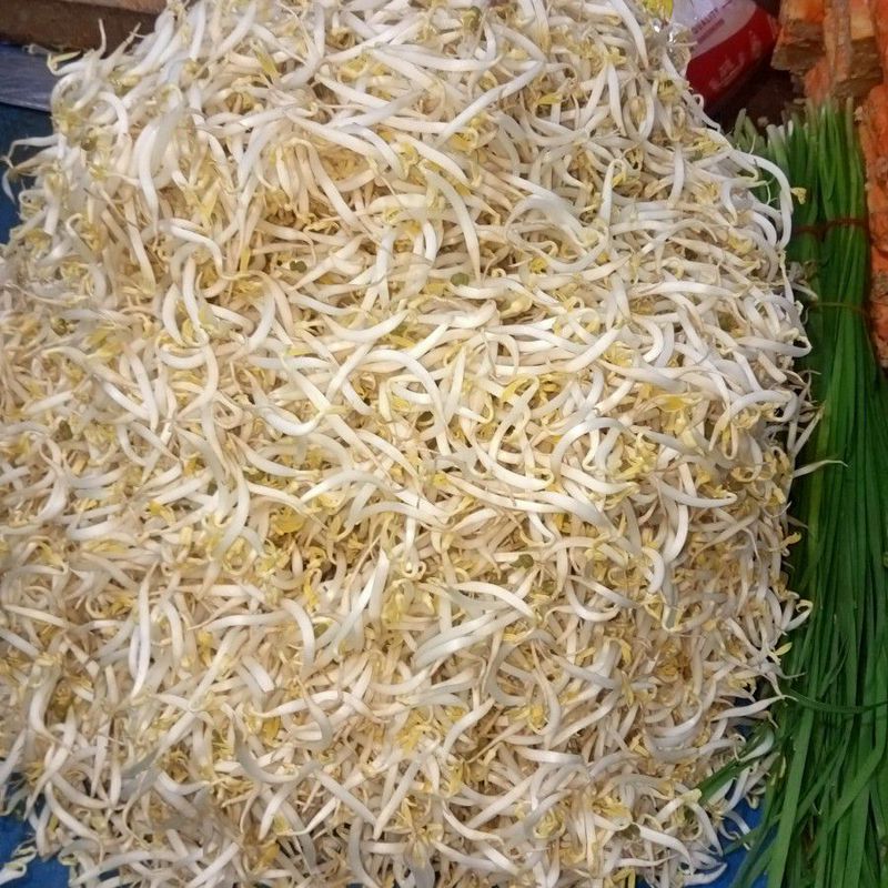 Toge 250 Gram