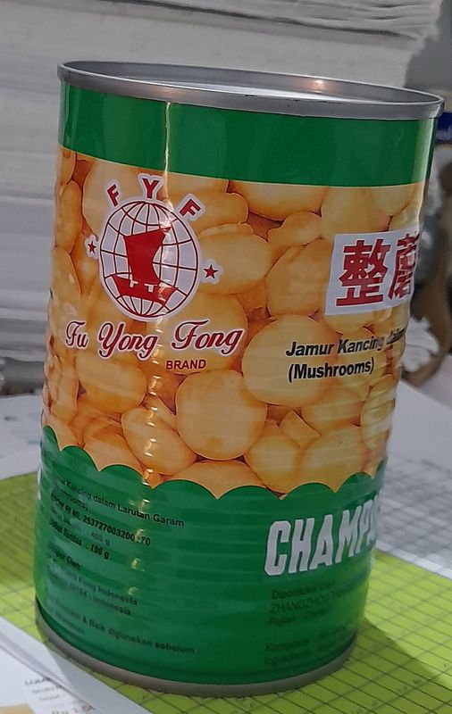 JAMUR KANCING