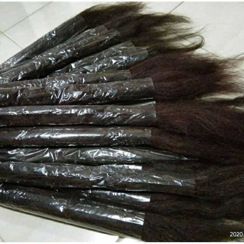 ANTOL RAMBUT SANGGUL