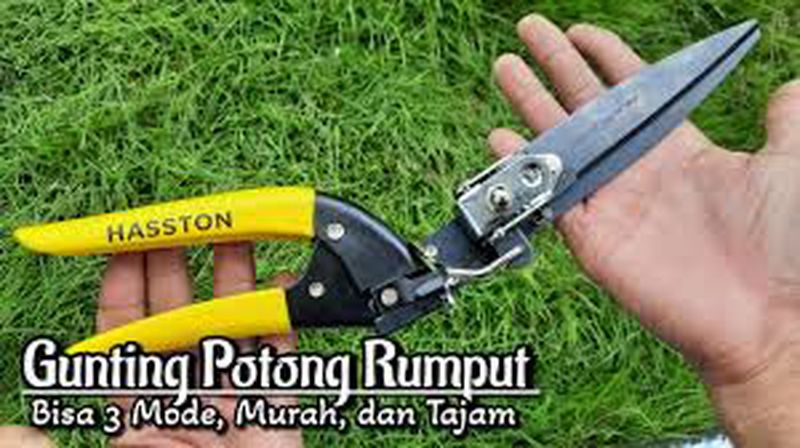Gunting Rumput